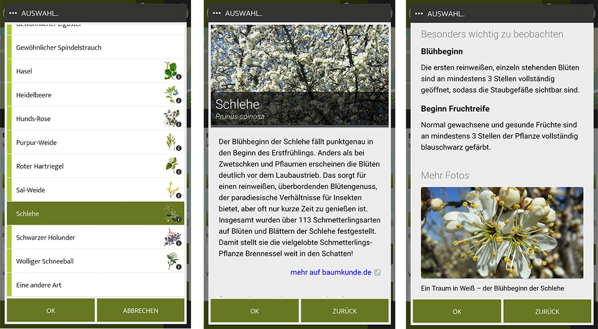 Screenshot of the new information panel design in the Citizen Science apps