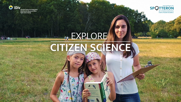 Select "Display all images" to see this picture