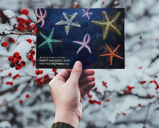 Select "Display all images" to see this picture