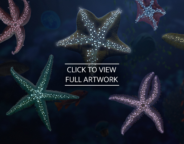 Video Link: Explore Citizen Science