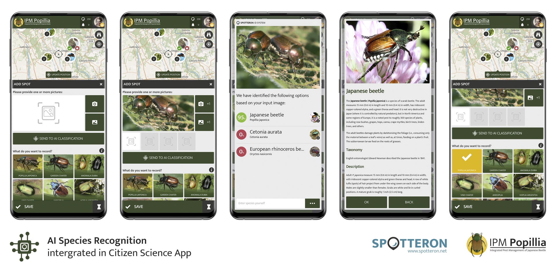 IPM Popillia Citizen Science App Interface showing the SPOTTERON AI integration for instant species identification via machine learning