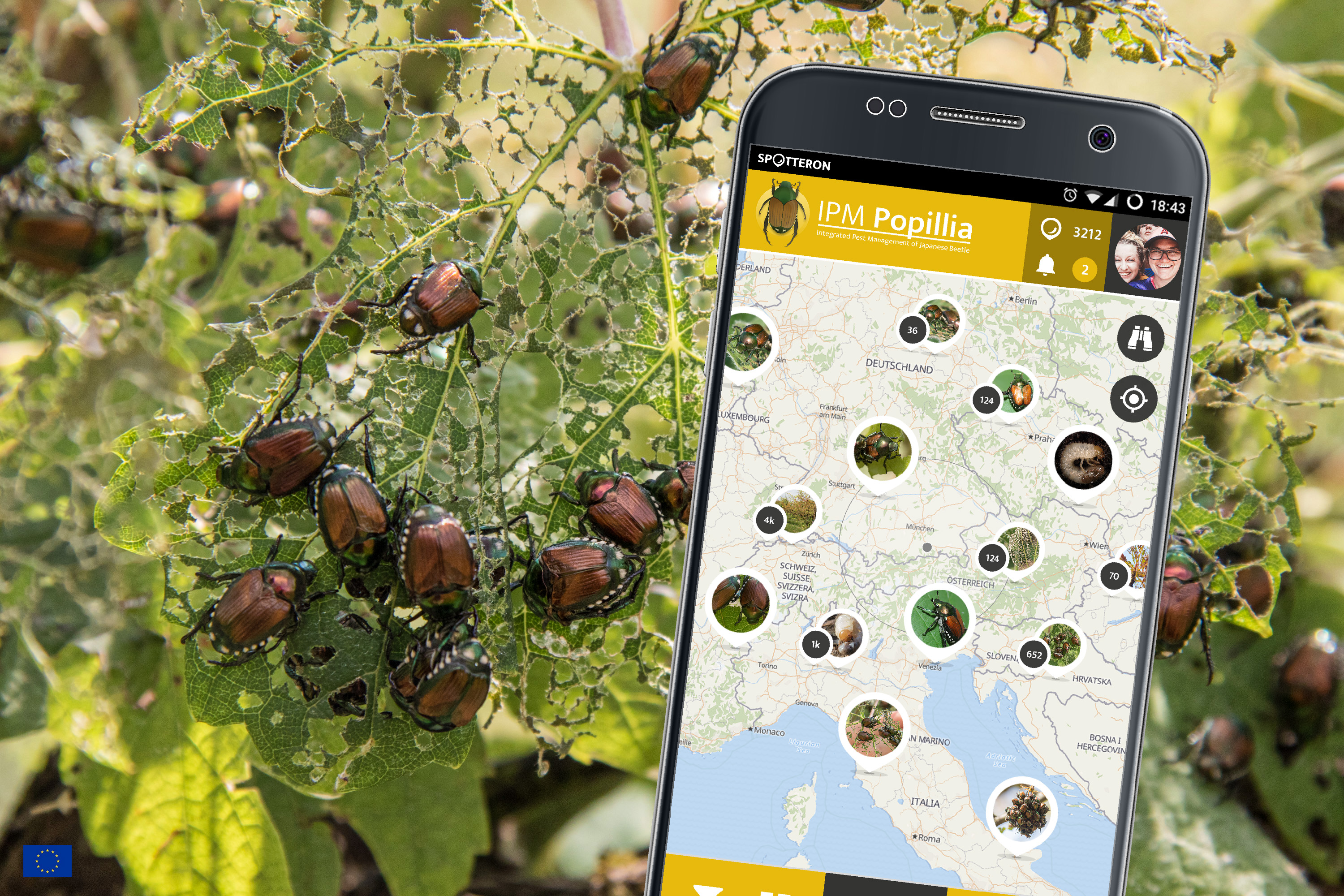 Smartphone Application for monitoring the Japanese Beetle