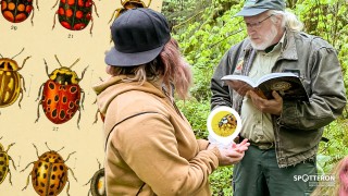 COVER_01_header-cwa-validation-blitz_v3