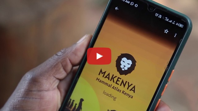 Entdecke, wie eine Citizen Science App hilft, Kenias Säugetiere zu schützen: das neue Video über MAKENYA