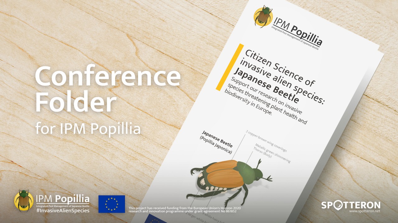 Konferenz-Folder für das Citizen Science Projekt IPM Popillia