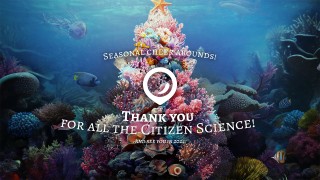 SPOTTERON Season Card 2023 - Thanks for all the Citizen Science