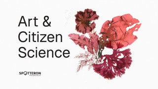 Blog_ArtAndCitizenScience_Header_v005