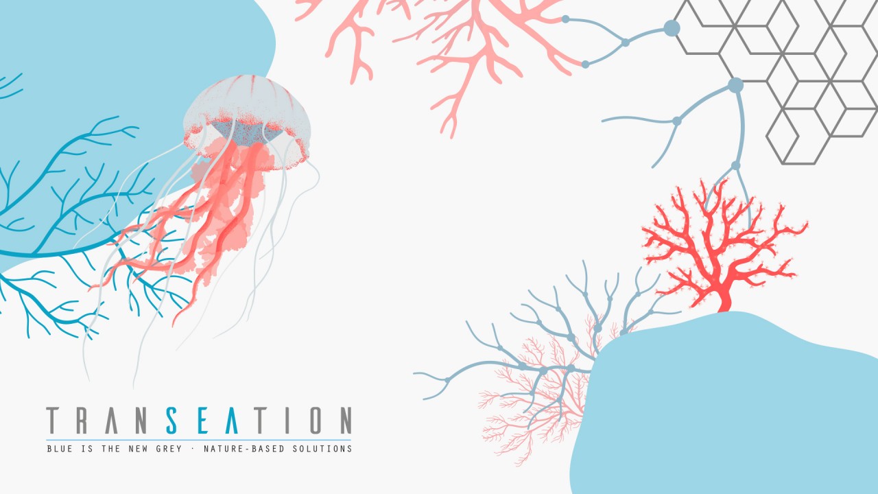 New Project Design for the Horizon Europe TRANSEATION Project, Marine Science