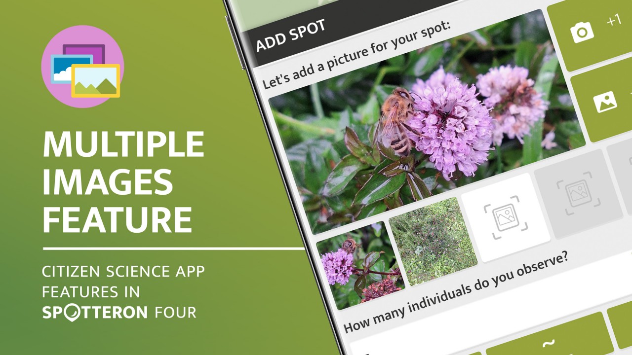 Header_blog_MI_v003_2025