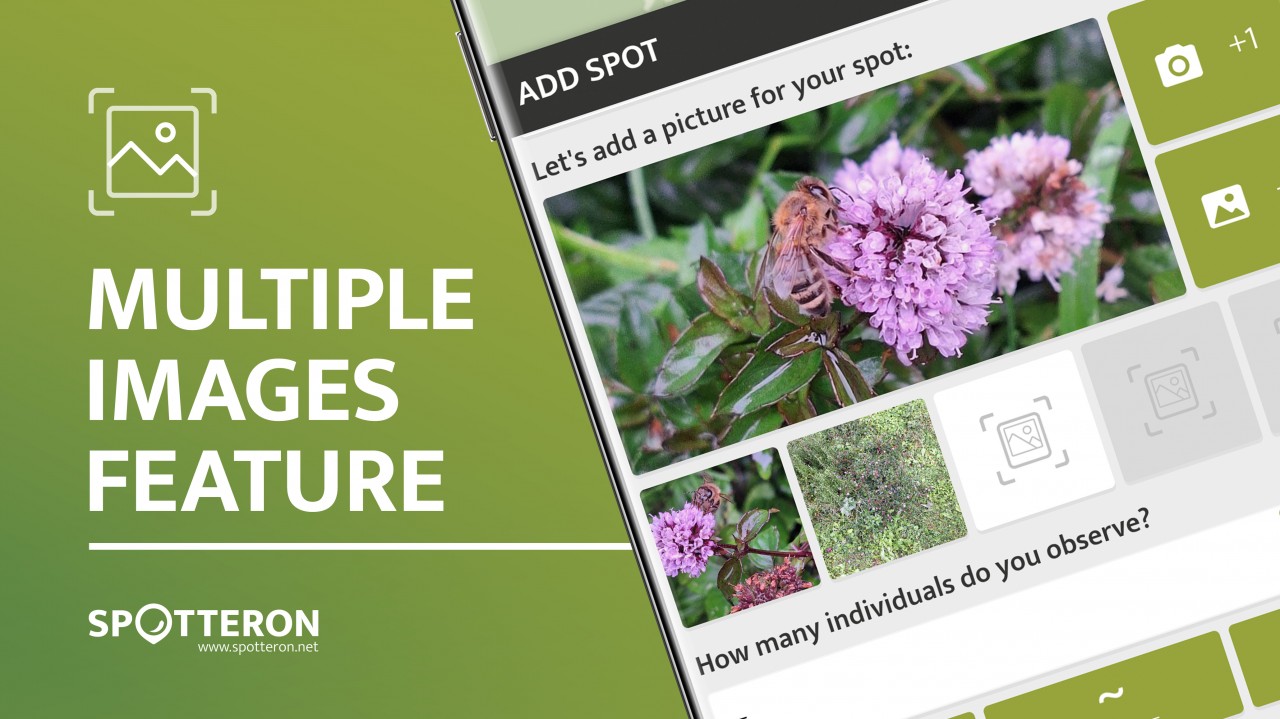 Header_blog_v002__MI_2025