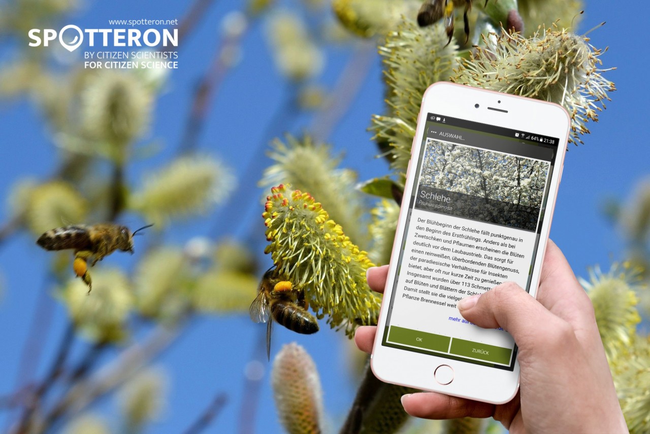 New Infopanel Design: Learning by using Citizen Science Apps