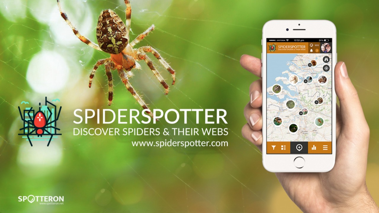 Introducing the Citizen Science Apps: SpiderSpotter