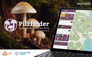 Introducing the Citizen Science Apps: Mushroom Finder