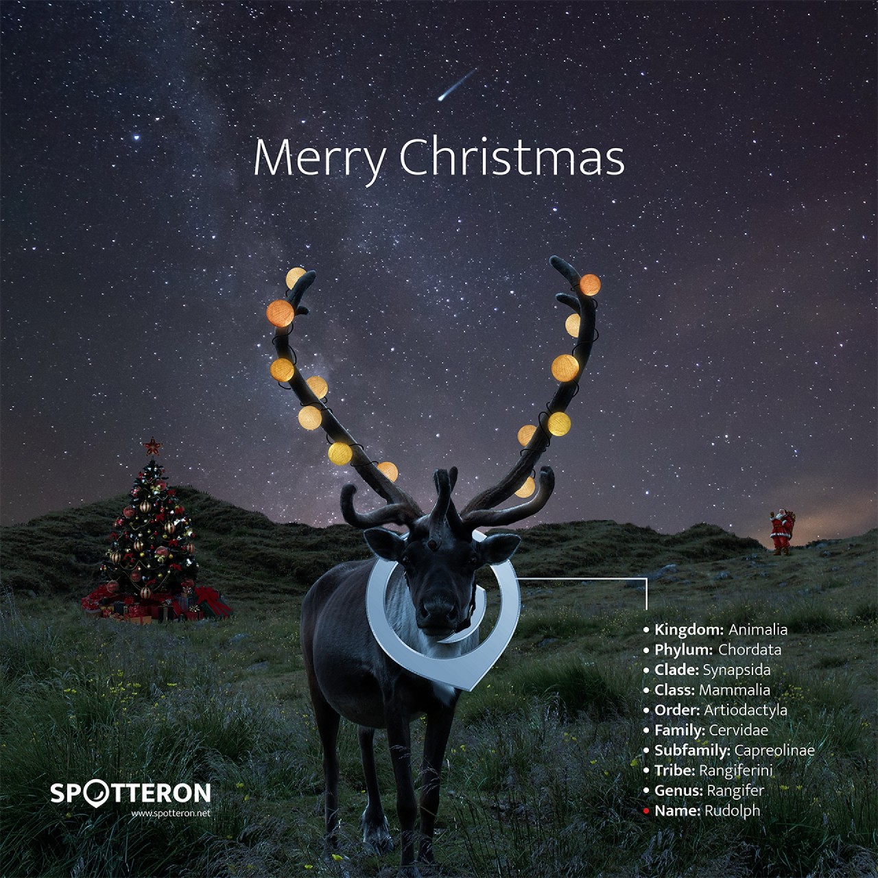 Merry Christmas, Citizen Science!
