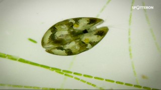 Citizen Science Easter Egg Hunt 2018