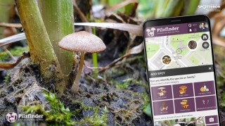 How it feels to be a Citizen Scientist (making an amazing find)