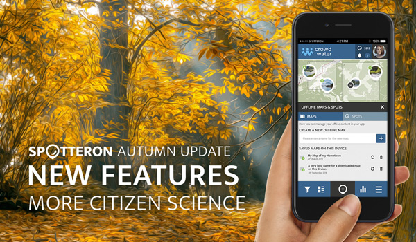 Select "Display all images" to see this picture