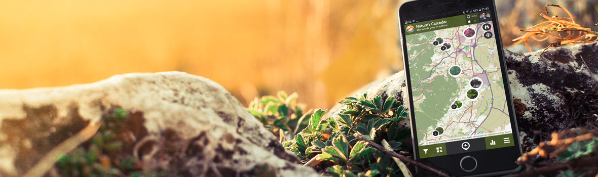 Newsletter Cover with SPOTTERON Citizen Science App on Phone visible