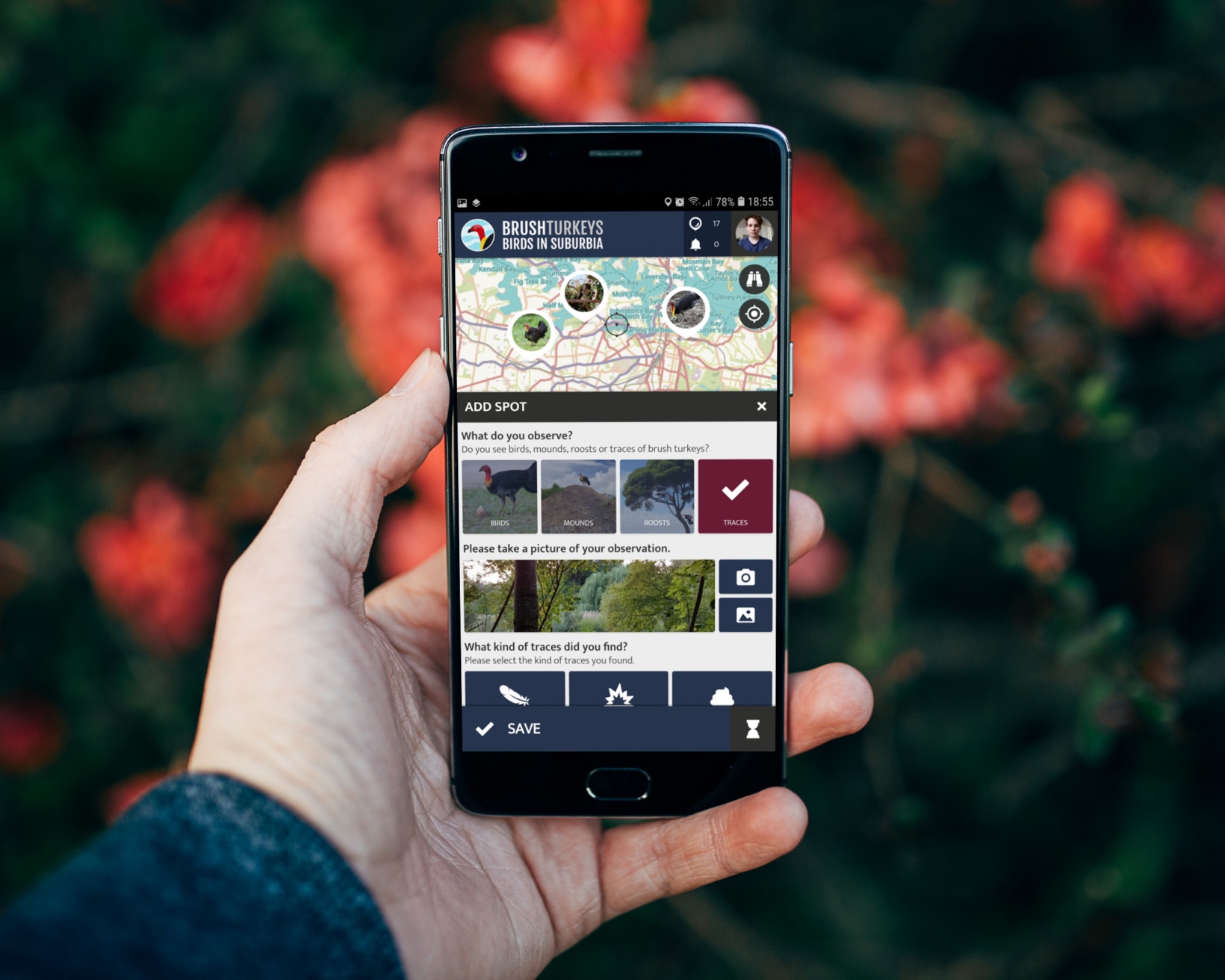 Brushturkeys Citizen Science App im TV