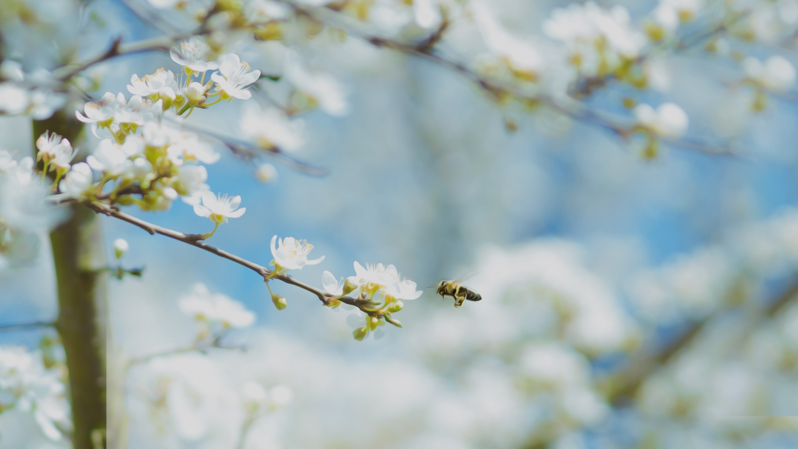 Nature&#039;s Calendar Styria (Austria)