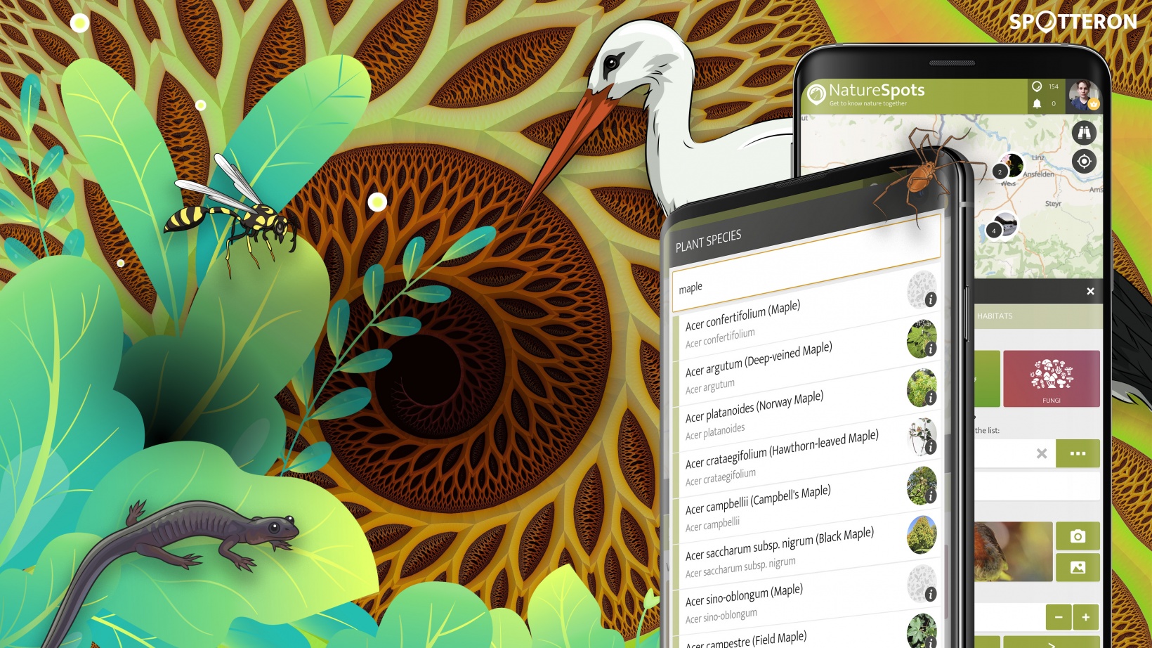 Citizen Science App Taxonomy Service