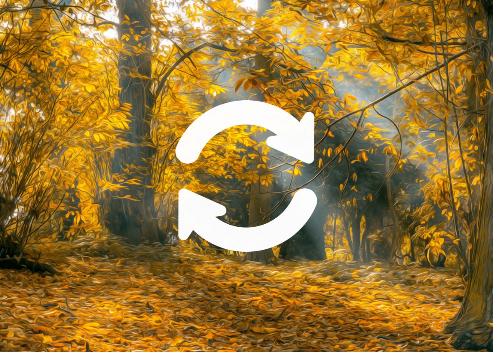 Regular app updates for compatibility, stability and security