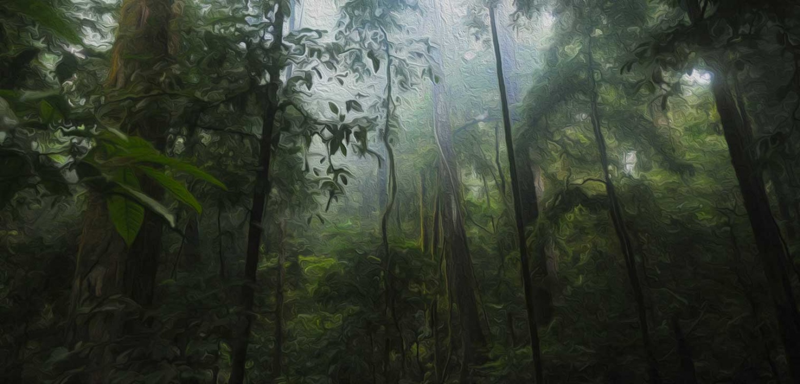 Green Growth Wildlife