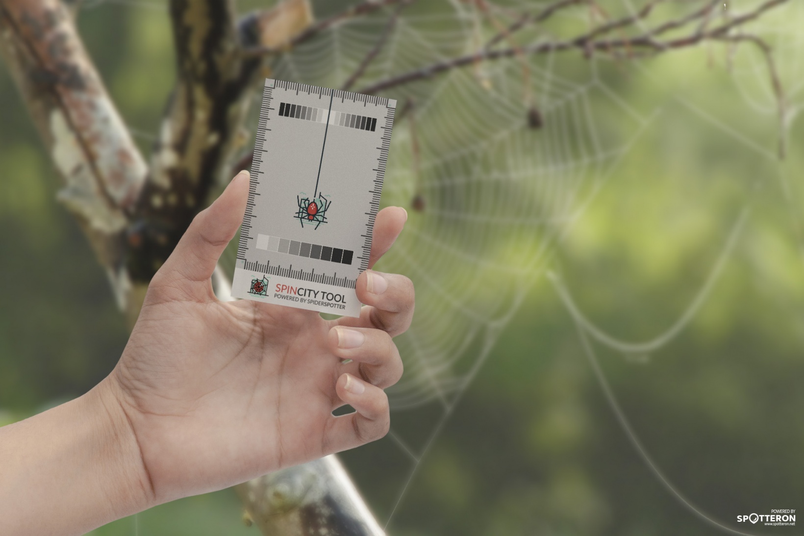 Logos, print &amp; media