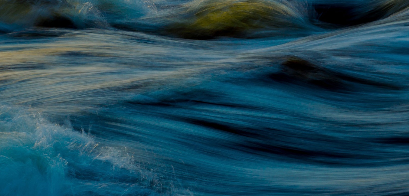 WaterLinx | Citizen Science