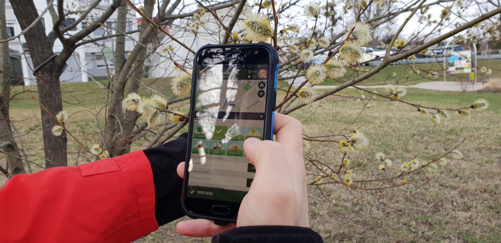 Day of Phenology at the ZAMG Vienna