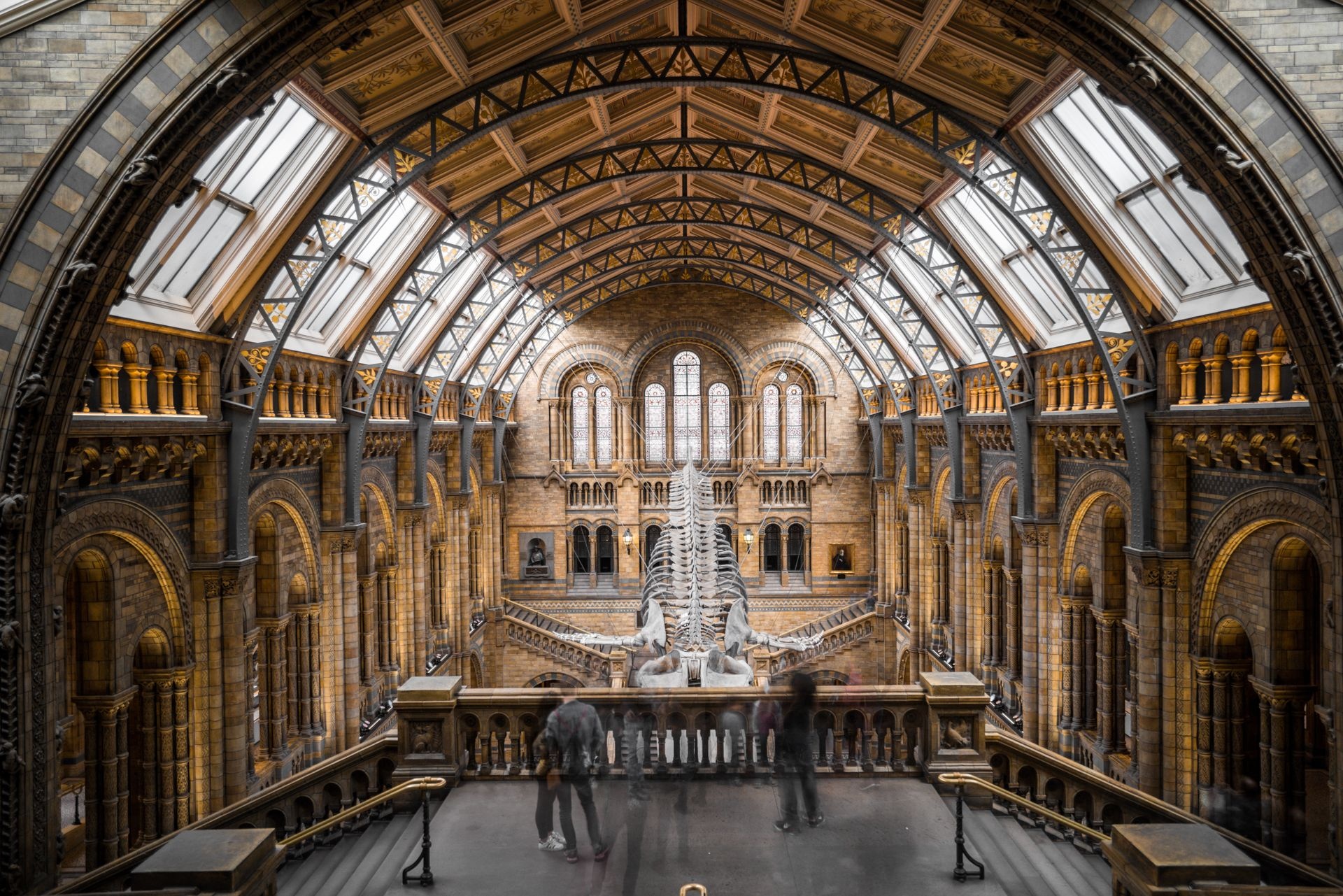 Natural History Museum London - SPOTTERON Citizen Science