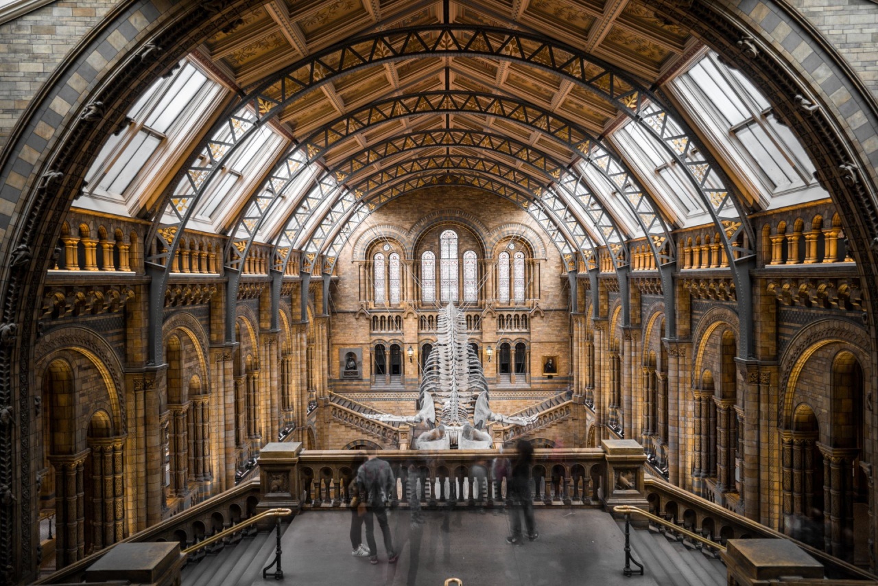 natural history museum case study
