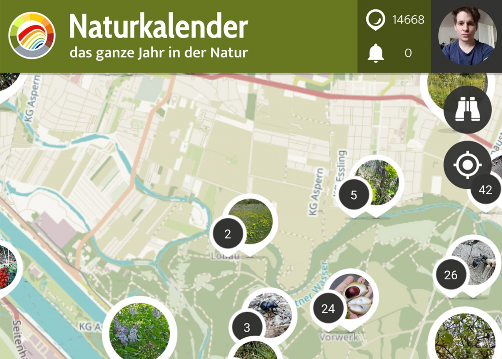 Custom smartphone apps for Android and iOS