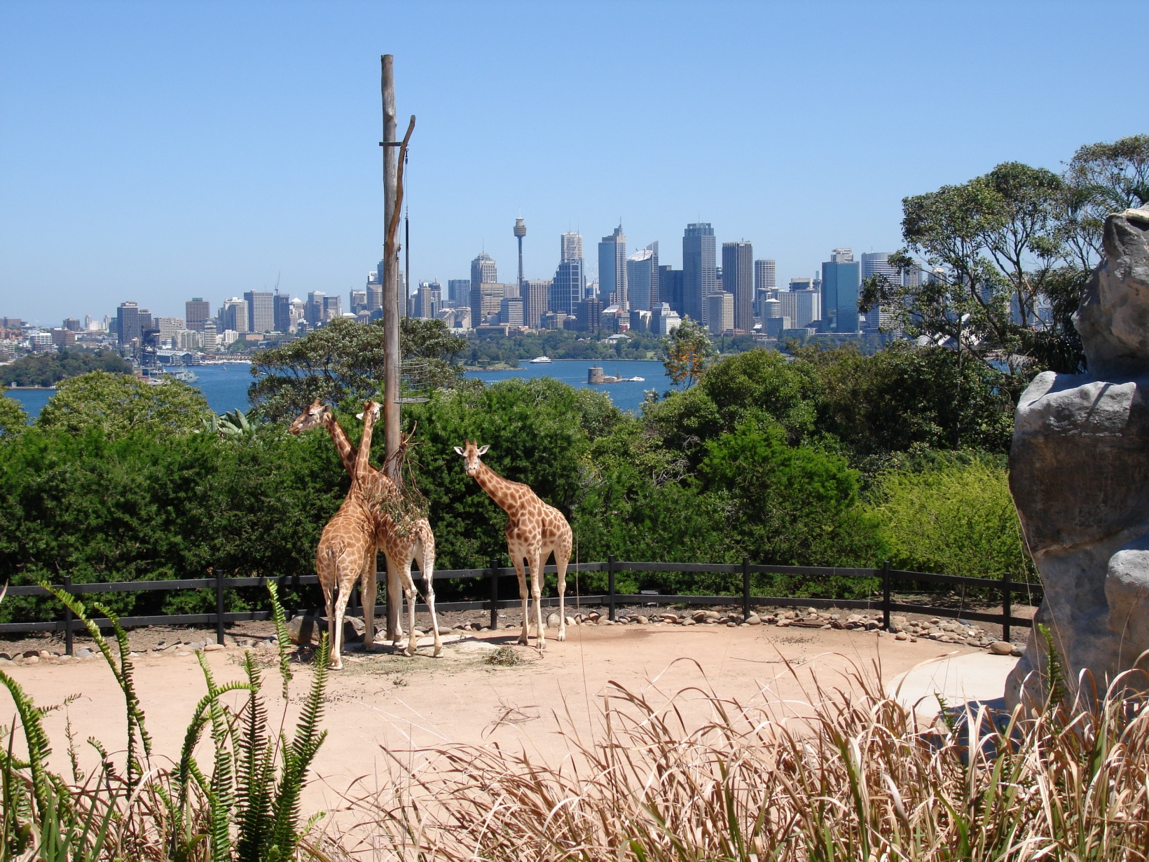 Taronga Zoo Sydney