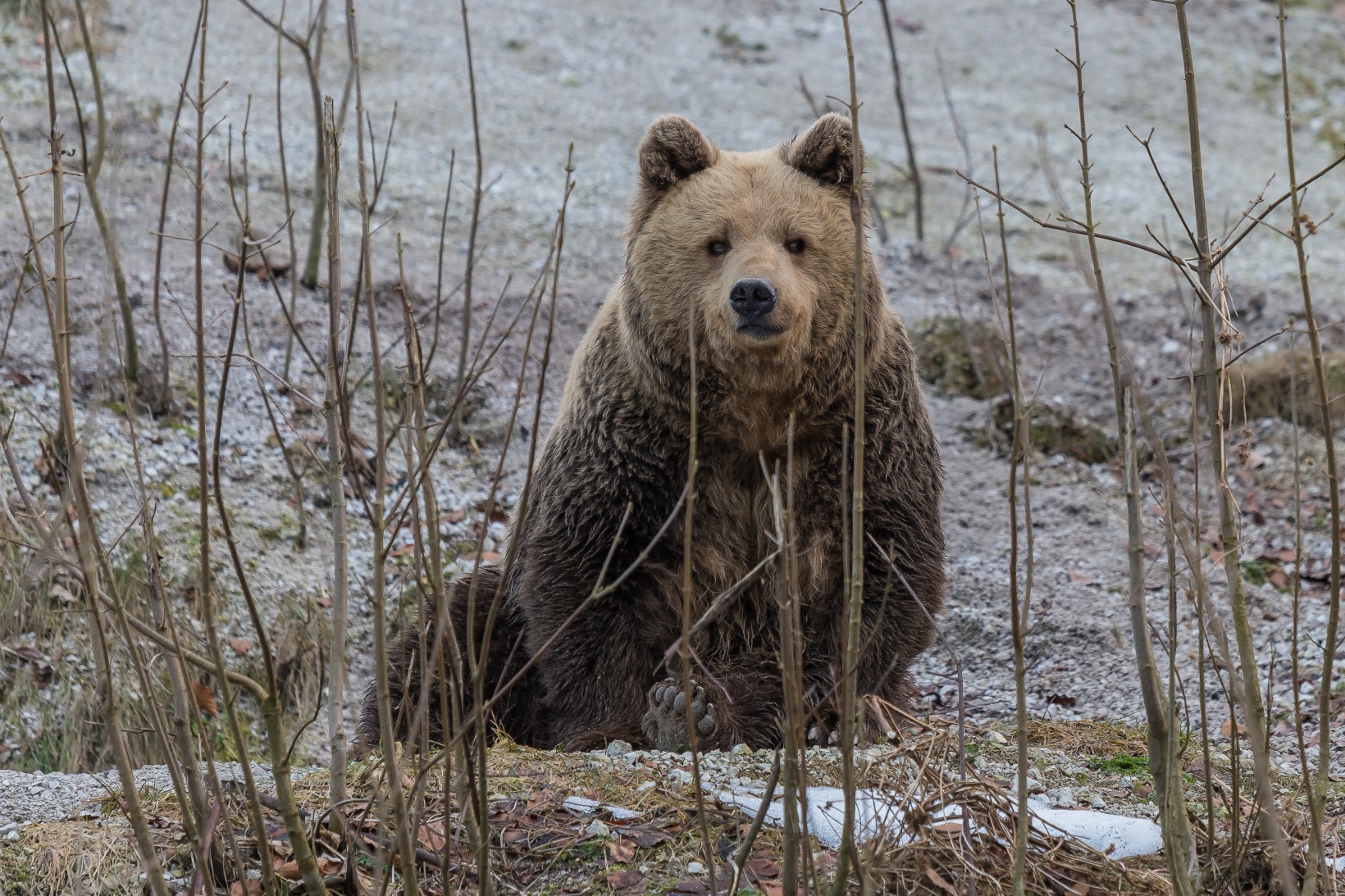 Cumberland Wildpark Grünau