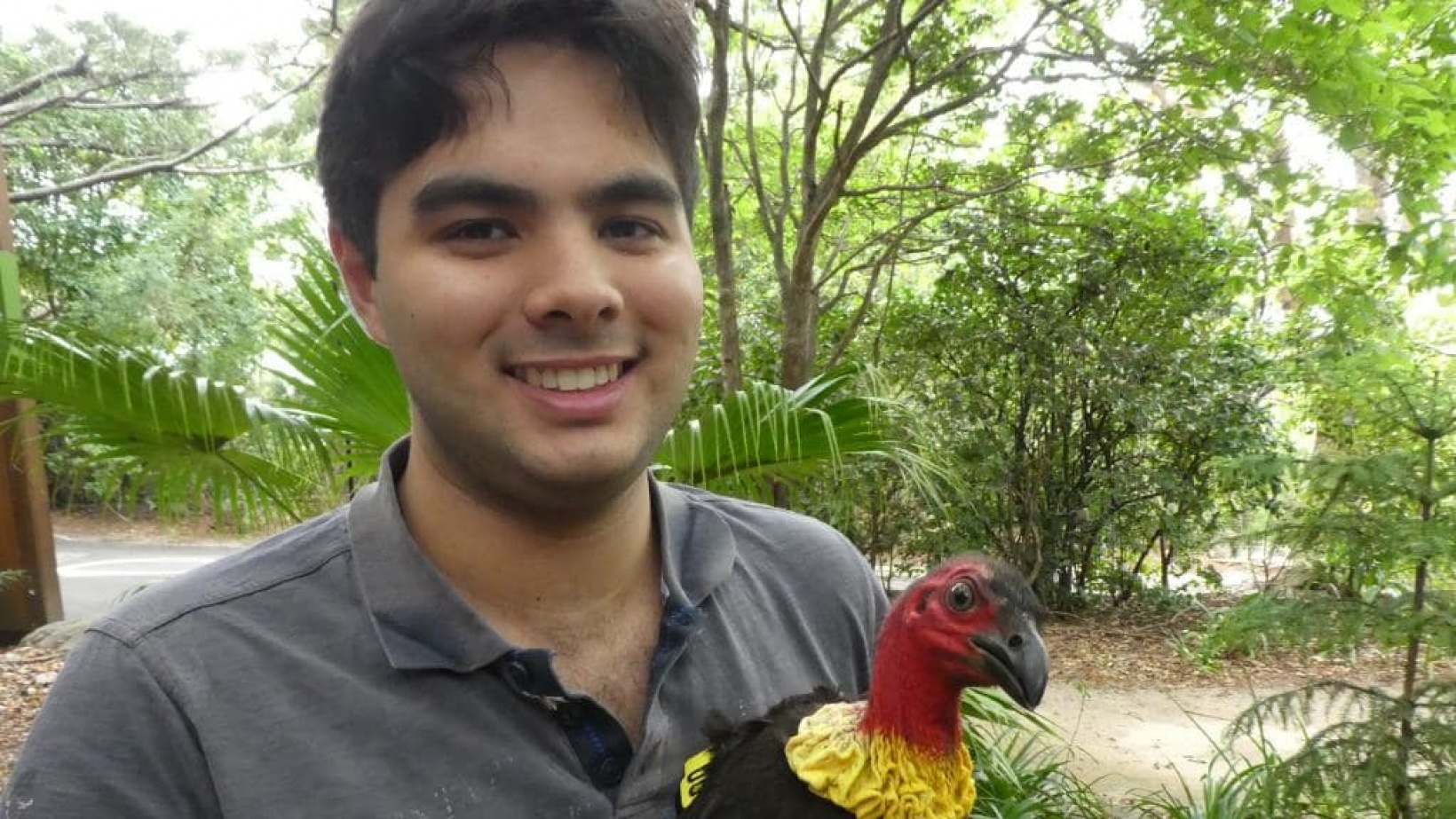 Matthew Hall, Universität Sydney