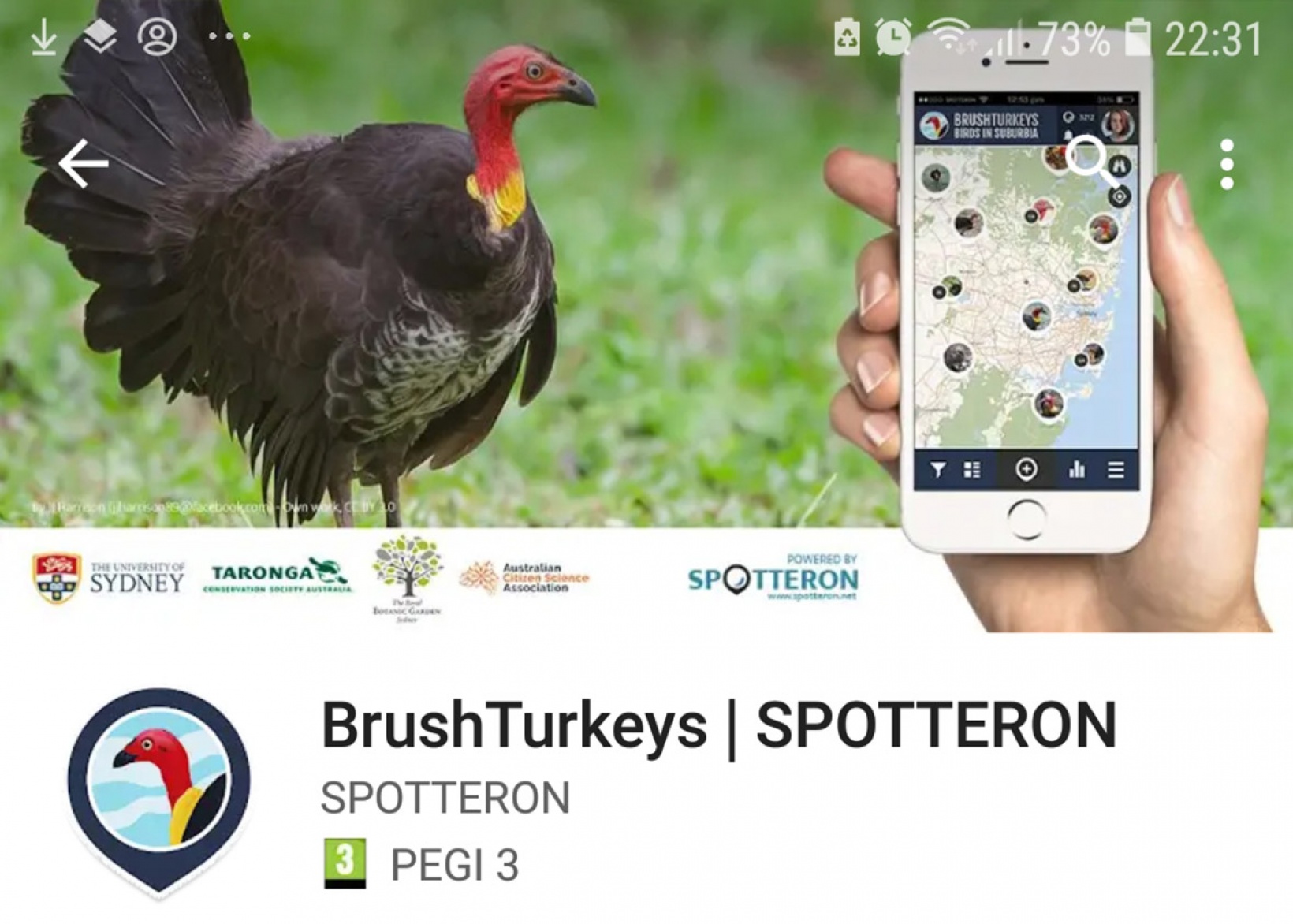 Store setup with all necessary assets