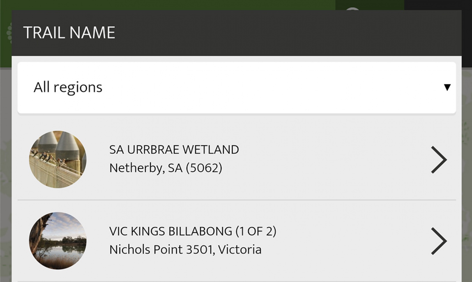 Auswahl der Projektaktivität