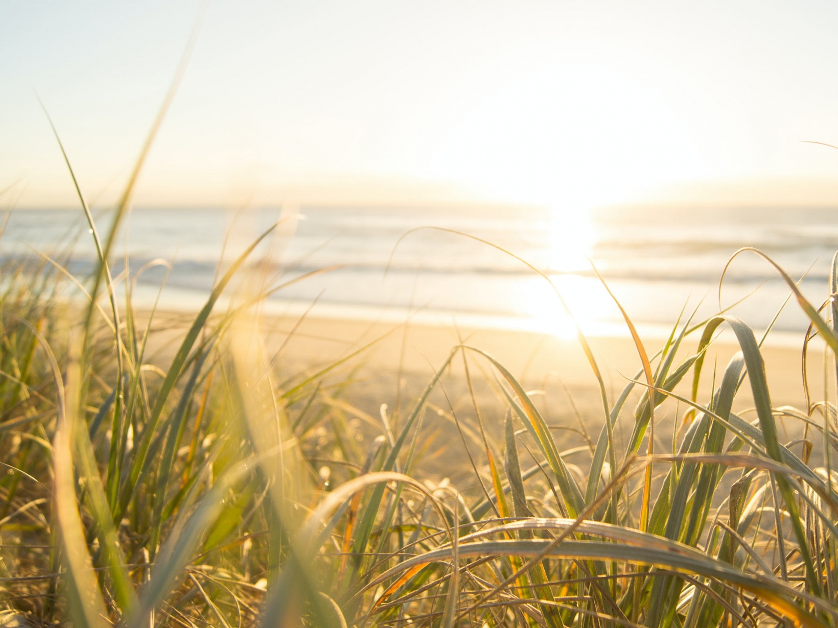 Earthwatch Australia