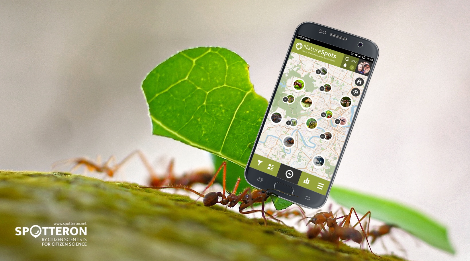 App Produktions-Ablauf