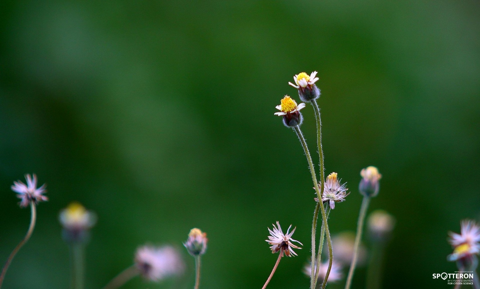 Naturpark Garten | BUND
