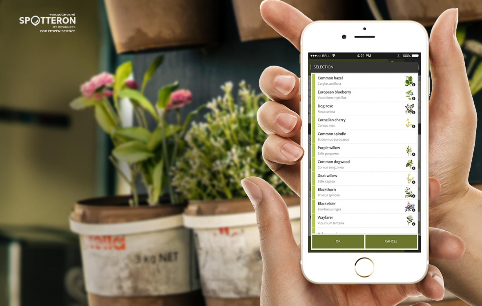 Warum wir in Citizen Science Apps Auswahllisten mit maximal rund 15 Möglichkeiten empfehlen
