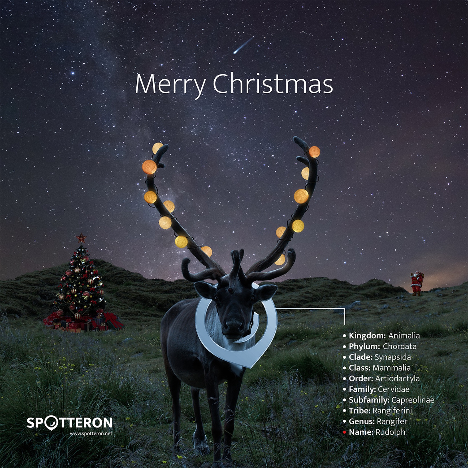 Frohe Weihnachten, Citizen Science!