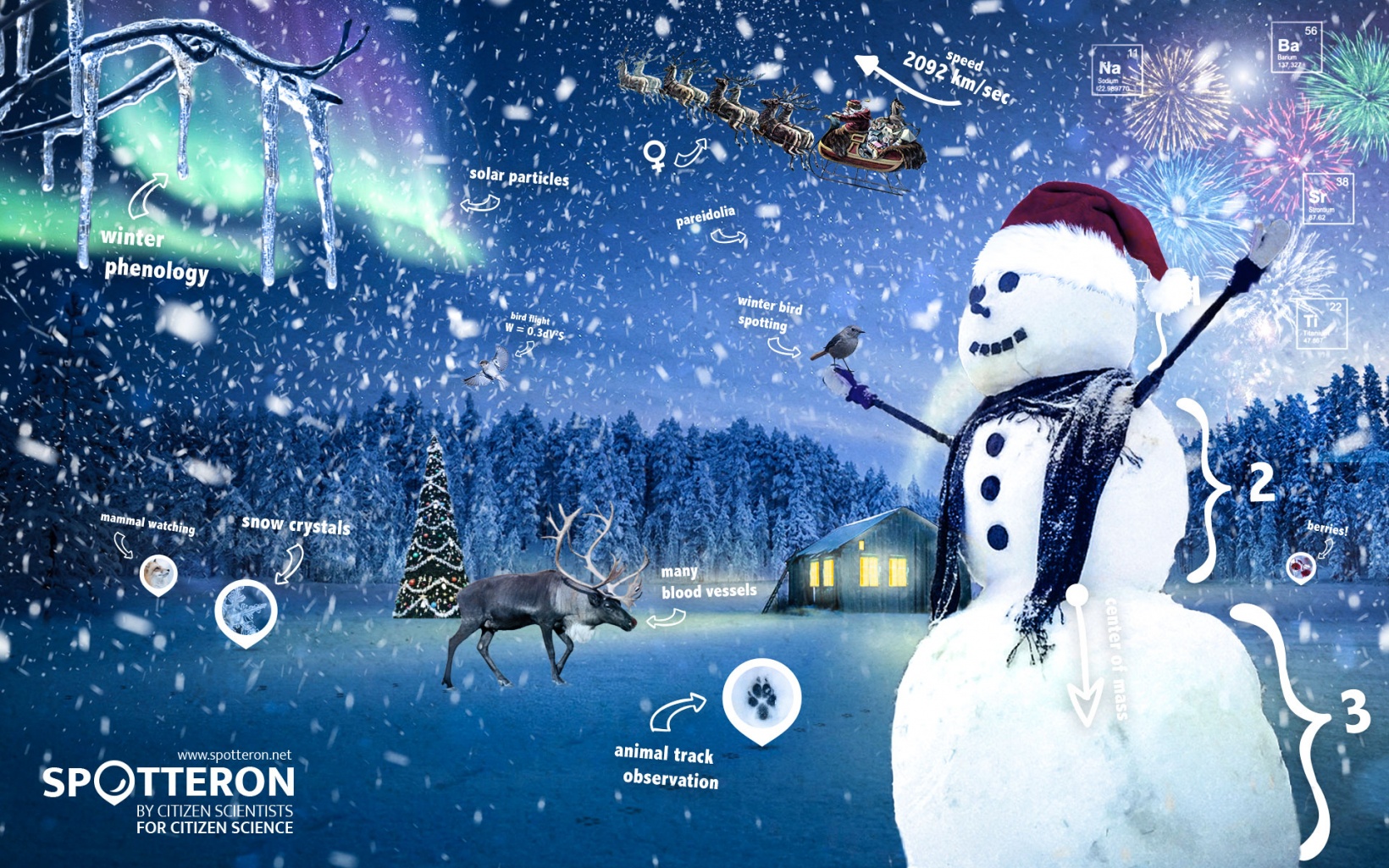 Citizen Science Christmas!