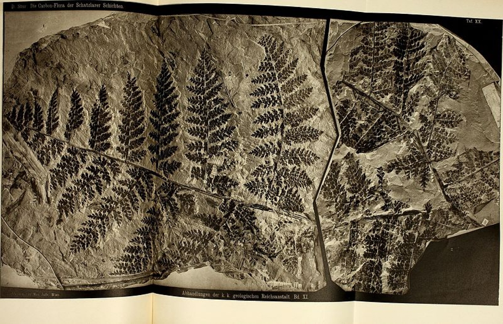 Geologische Bundesanstalt