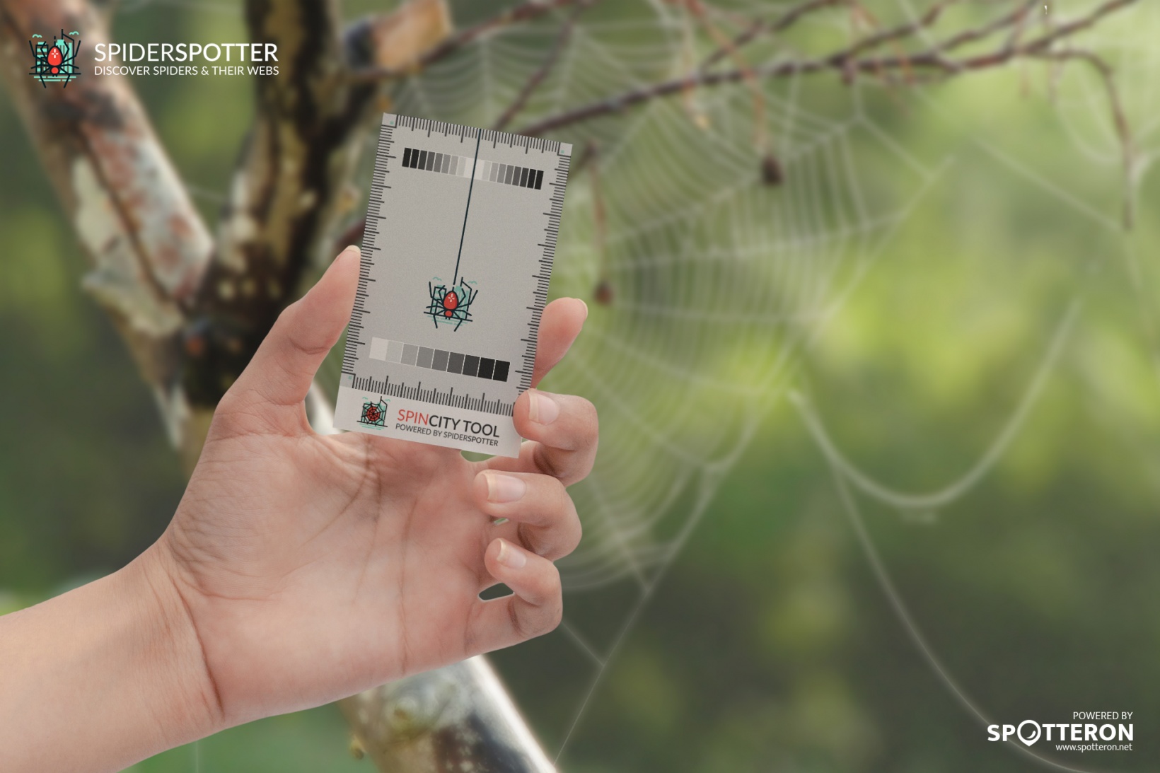 Logos, Print &amp; Medien