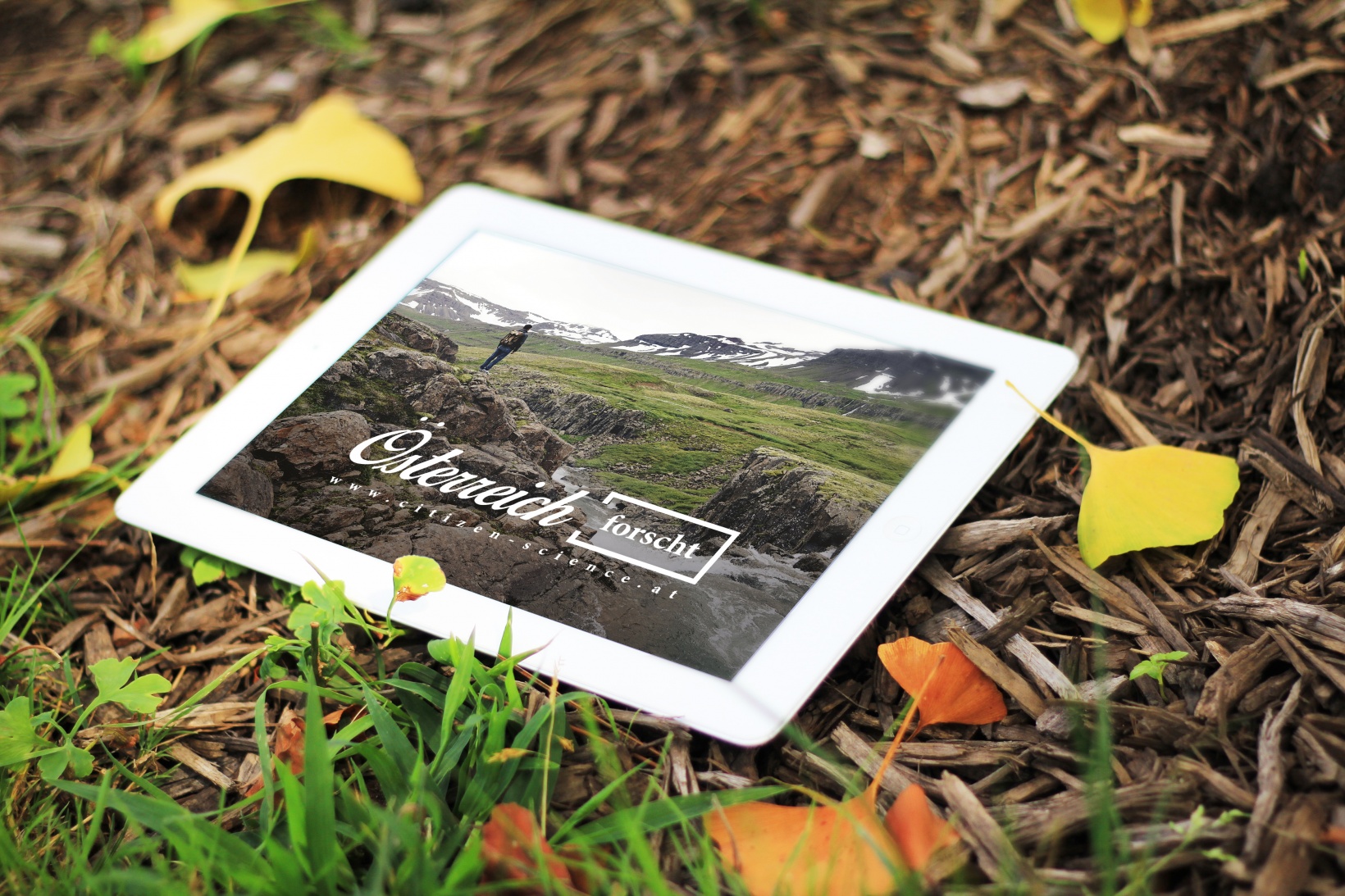 Citizen Science Problemstellungen und Praxis in SPOTTERON