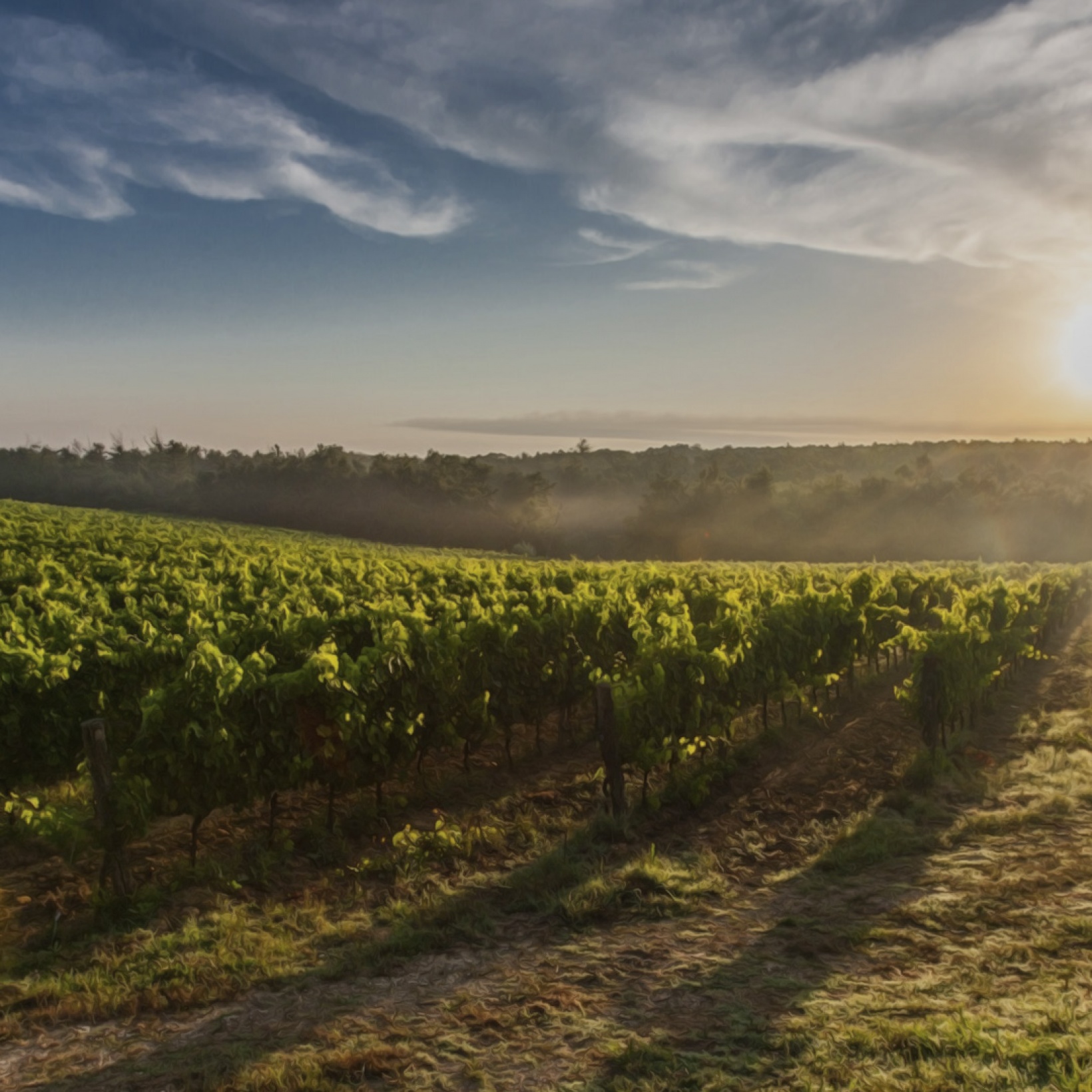 Nature&#039;s Calender Burgenland