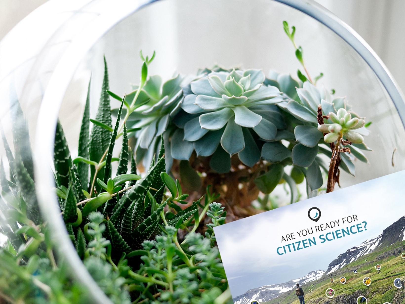 Sidenote: Best Plants for air filtering #officeadvice