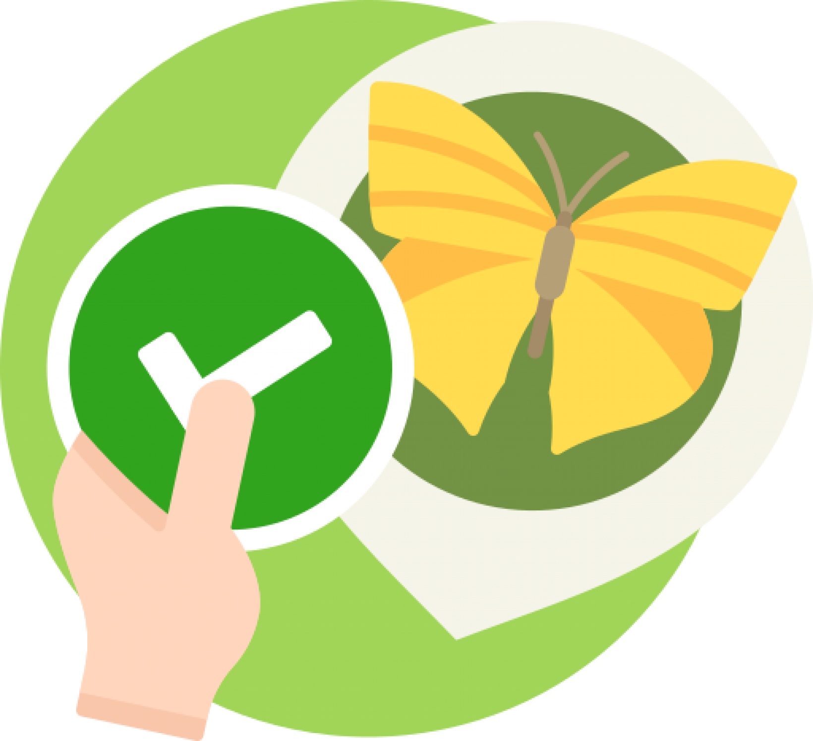 Check &amp; Lock Data Tool